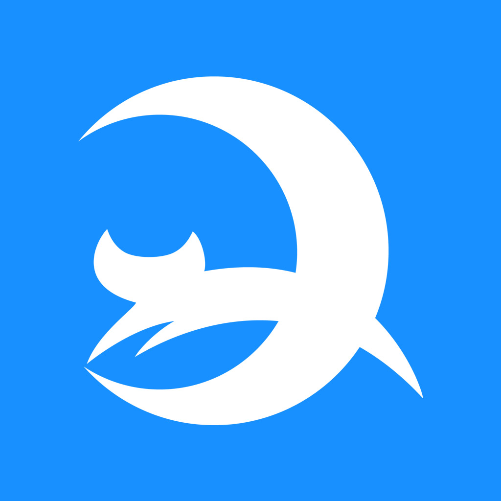 爱夜猫的头像-爱夜猫